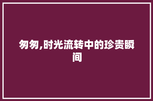 匆匆,时光流转中的珍贵瞬间