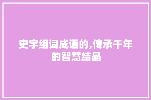 史字组词成语的,传承千年的智慧结晶