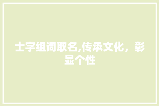 士字组词取名,传承文化，彰显个性