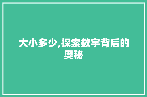 大小多少,探索数字背后的奥秘
