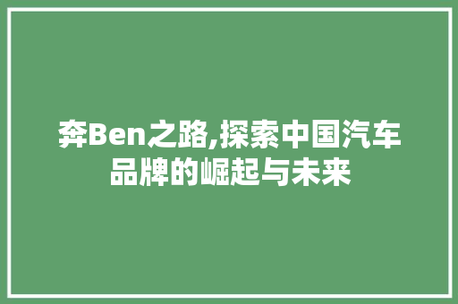 奔Ben之路,探索中国汽车品牌的崛起与未来