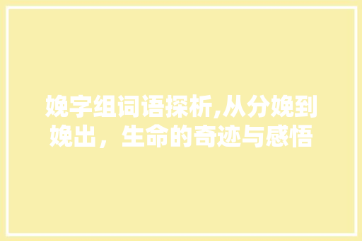 娩字组词语探析,从分娩到娩出，生命的奇迹与感悟