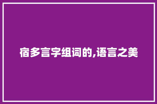 宿多言字组词的,语言之美