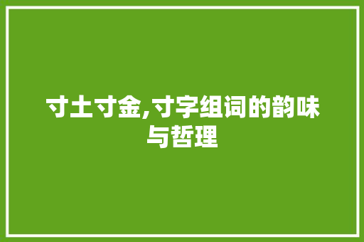 寸土寸金,寸字组词的韵味与哲理