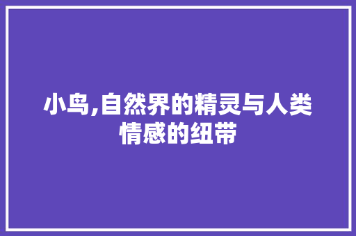 小鸟,自然界的精灵与人类情感的纽带