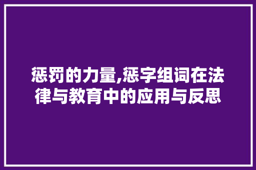 惩罚的力量,惩字组词在法律与教育中的应用与反思