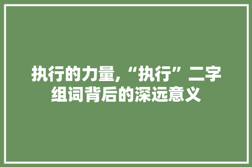 执行的力量,“执行”二字组词背后的深远意义