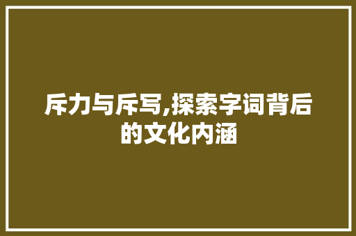 斥力与斥写,探索字词背后的文化内涵