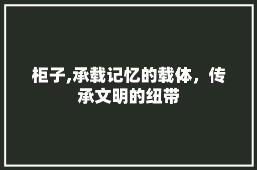 柜子,承载记忆的载体，传承文明的纽带