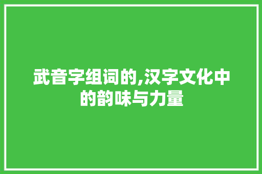武音字组词的,汉字文化中的韵味与力量