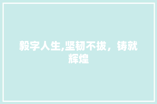 毅字人生,坚韧不拔，铸就辉煌