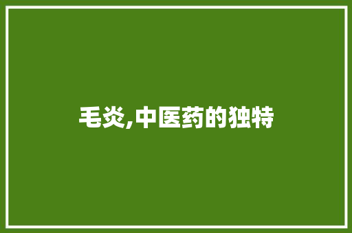 毛炎,中医药的独特
