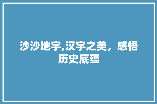 沙沙地字,汉字之美，感悟历史底蕴