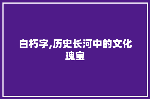 白朽字,历史长河中的文化瑰宝