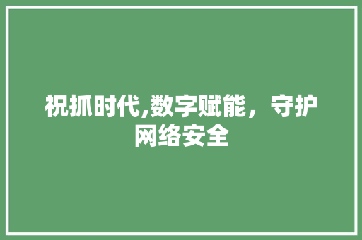 祝抓时代,数字赋能，守护网络安全