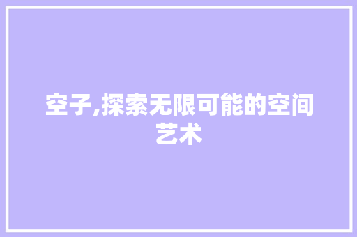 空子,探索无限可能的空间艺术
