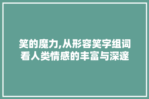 笑的魔力,从形容笑字组词看人类情感的丰富与深邃