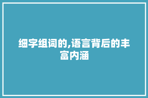 细字组词的,语言背后的丰富内涵