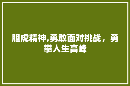 胆虎精神,勇敢面对挑战，勇攀人生高峰