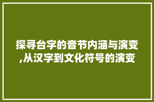 探寻台字的音节内涵与演变,从汉字到文化符号的演变轨迹_台字的音节是什么意思