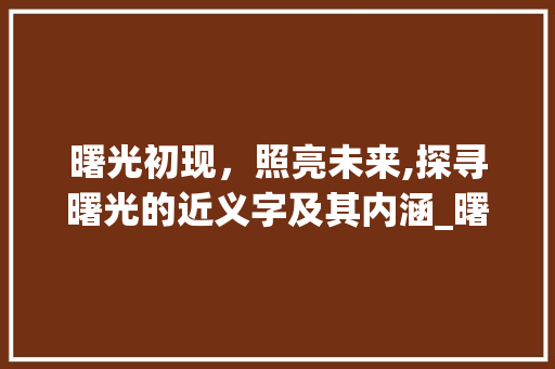 曙光初现，照亮未来,探寻曙光的近义字及其内涵_曙光的近义字是什么意思 职场应用