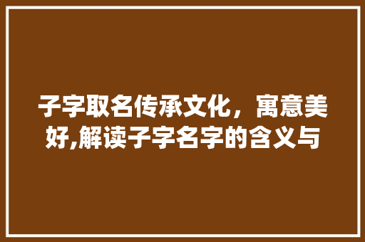 子字取名传承文化，寓意美好,解读子字名字的含义与内涵_子字的名字是什么意思呀