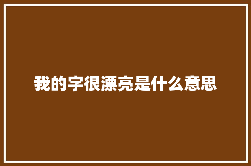 我的字很漂亮是什么意思