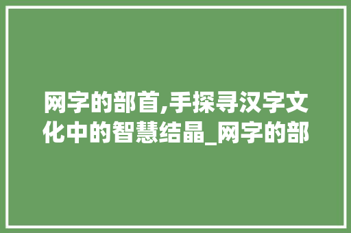 网字的部首,手探寻汉字文化中的智慧结晶_网字的部手是什么意思