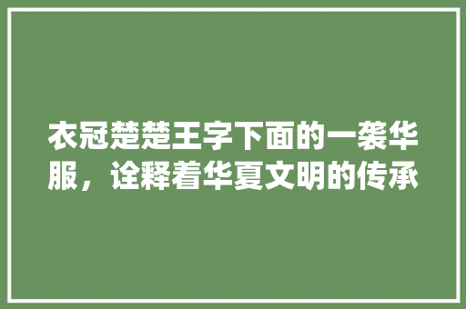 衣冠楚楚王字下面的一袭华服，诠释着华夏文明的传承与升华_王字下面一个衣服的意思