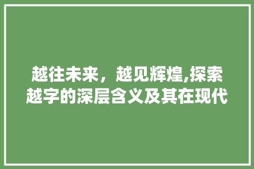 越往未来，越见辉煌,探索越字的深层含义及其在现代社会中的体现_越来越好中的越字的意思