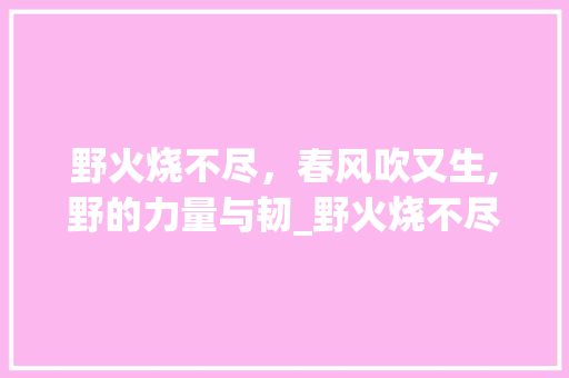 野火烧不尽，春风吹又生,野的力量与韧_野火烧不尽野字的意思