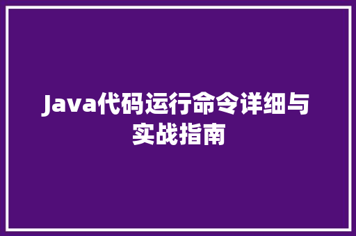 Java代码运行命令详细与实战指南 职场应用