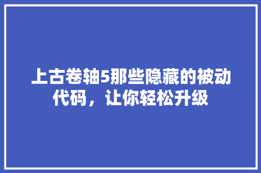 上古卷轴5那些隐藏的被动代码,让你轻松升级