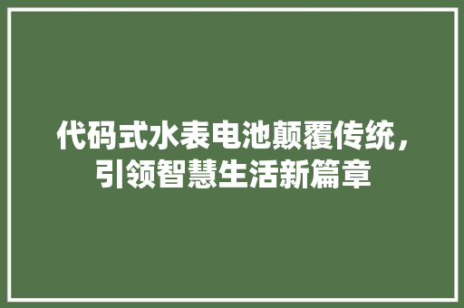 代码式水表电池颠覆传统,引领智慧生活新篇章