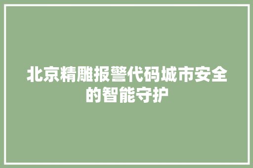 北京精雕报警代码城市安全的智能守护