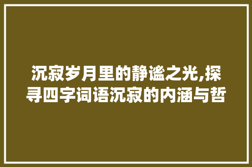 沉寂岁月里的静谧之光,探寻四字词语沉寂的内涵与哲理_意思为沉寂的四字词语