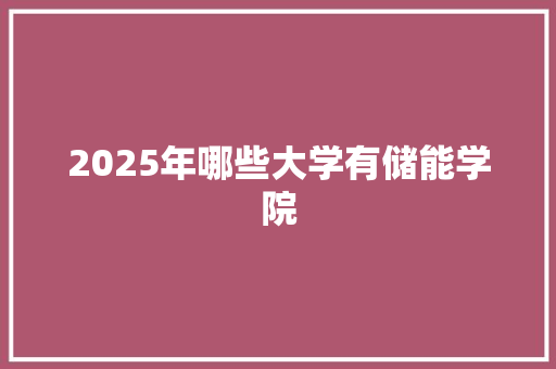 2025年哪些大学有储能学院