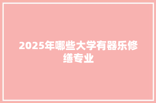2025年哪些大学有器乐修缮专业