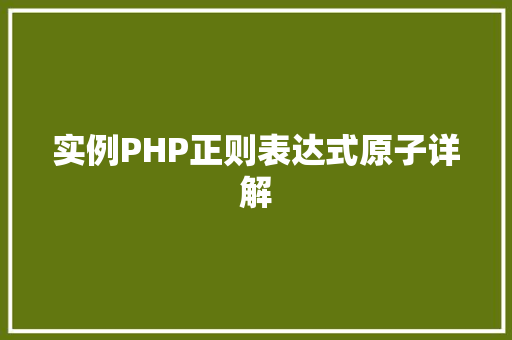实例PHP正则表达式原子详解