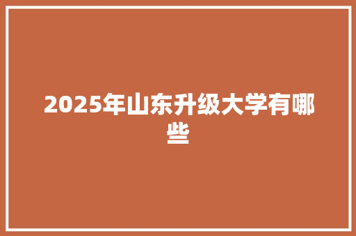 2025年山东升级大学有哪些