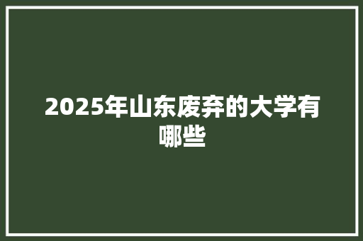 2025年山东废弃的大学有哪些