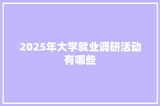 2025年大学就业调研活动有哪些