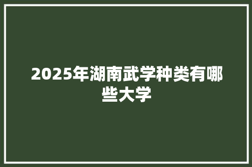 2025年湖南武学种类有哪些大学
