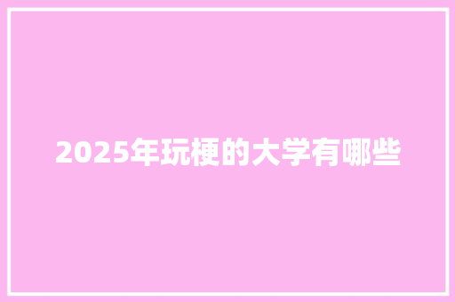 2025年玩梗的大学有哪些