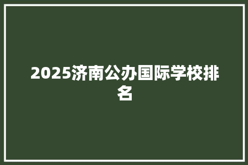 2025济南公办国际学校排名 创作范文