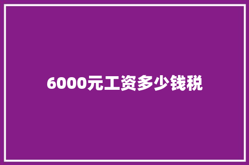 6000元工资多少钱税 项目管理范文