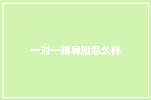一对一辅导班怎么样