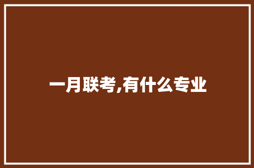 一月联考,有什么专业