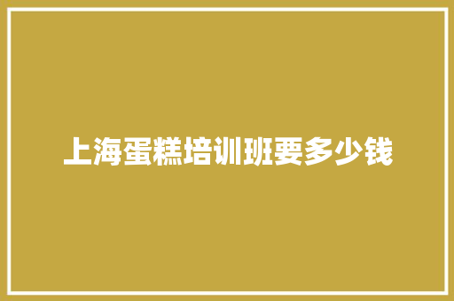 上海蛋糕培训班要多少钱