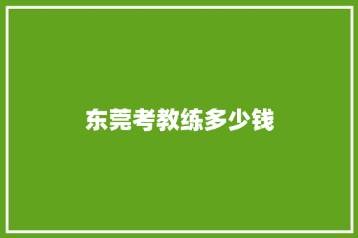 东莞考教练多少钱